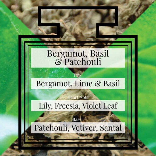 Pairfum-Fragrance-Bergamot-Basil-Patchouli-Triangle.jpg Pairfum-Fragrance-Bergamot-Basil-Patchouli-Triangle.jpg
