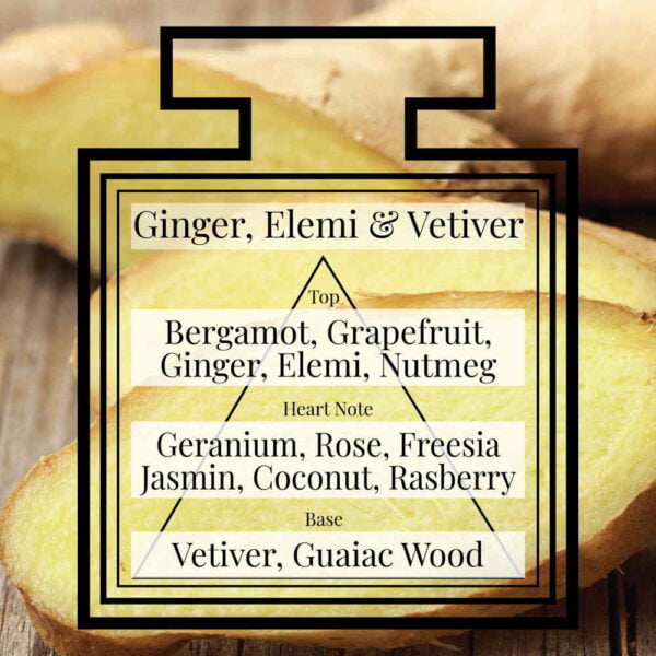 Pairfum-Fragrance-Ginger-Elemi-Vetiver-Triangle.jpg Pairfum-Fragrance-Ginger-Elemi-Vetiver-Triangle.jpg