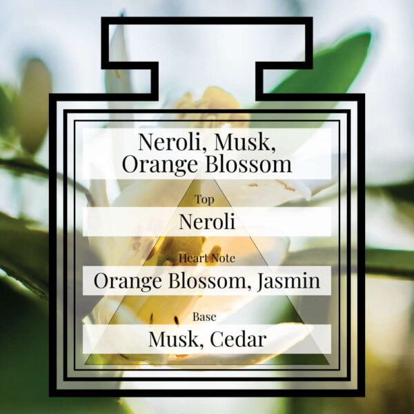 Pairfum-Fragrance-Neroli-Musk-Orange-Blossom-Triangle.jpg Pairfum-Fragrance-Neroli-Musk-Orange-Blossom-Triangle.jpg