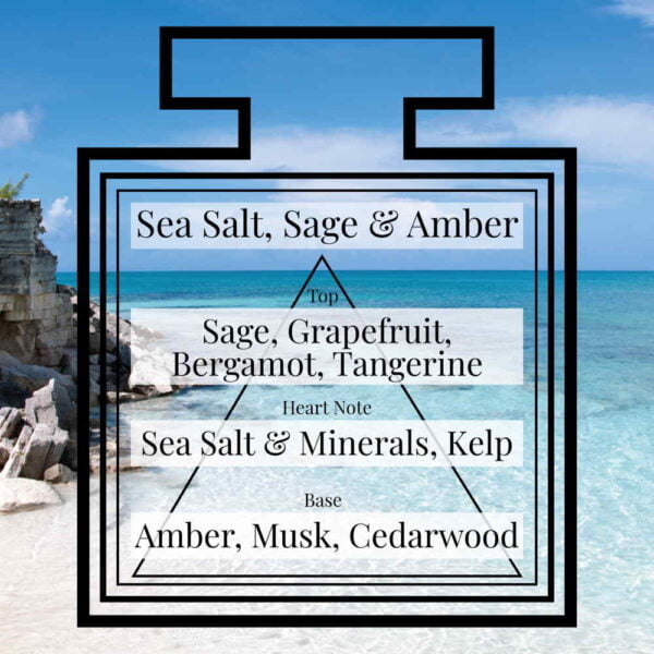 Pairfum-Fragrance-Sea-Salt-Sage-Amber-Triangle.jpg Pairfum-Fragrance-Sea-Salt-Sage-Amber-Triangle.jpg