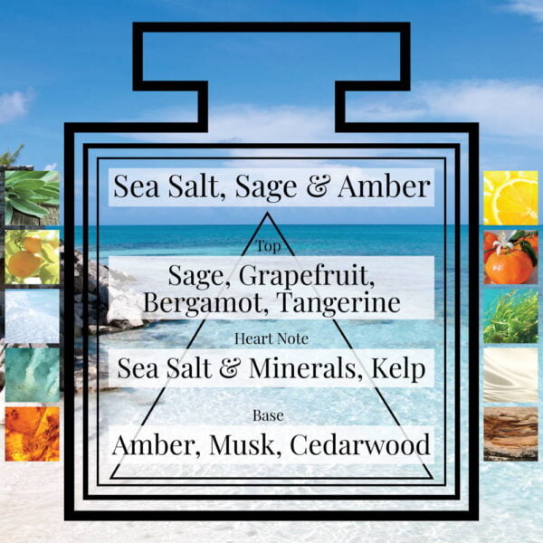 Pairfum-Fragrance-Sea-Salt-Sage-Amber-Triangle-Ingredients.jpg Pairfum-Fragrance-Sea-Salt-Sage-Amber-Triangle-Ingredients.jpg